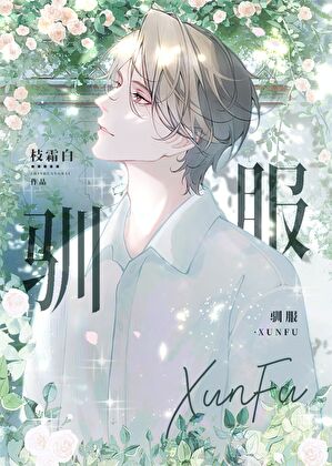 顶a为何总要强制beta