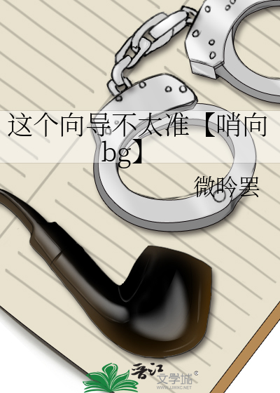 这个向导不太准【哨向bg】