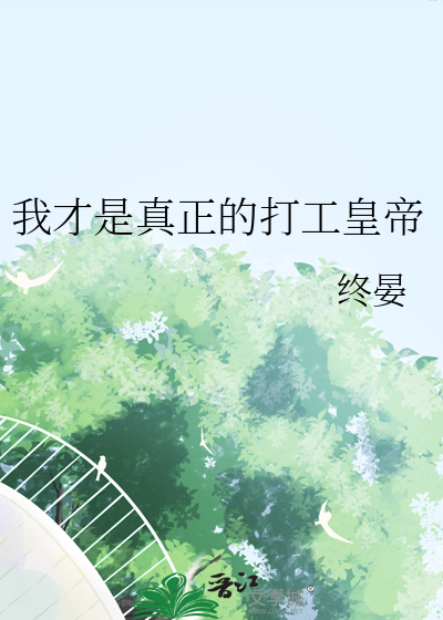 我才是真正的打工皇帝